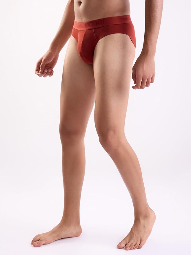PARK AVENUE Men's Comfort Fit Briefs in Rust Red