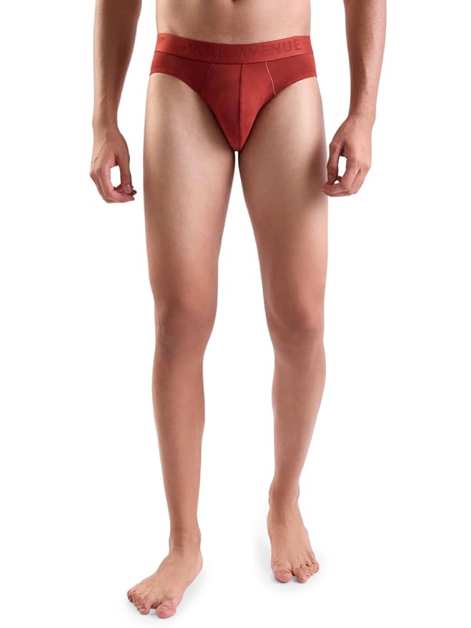 PARK AVENUE Men's Comfort Fit Briefs in Rust Red