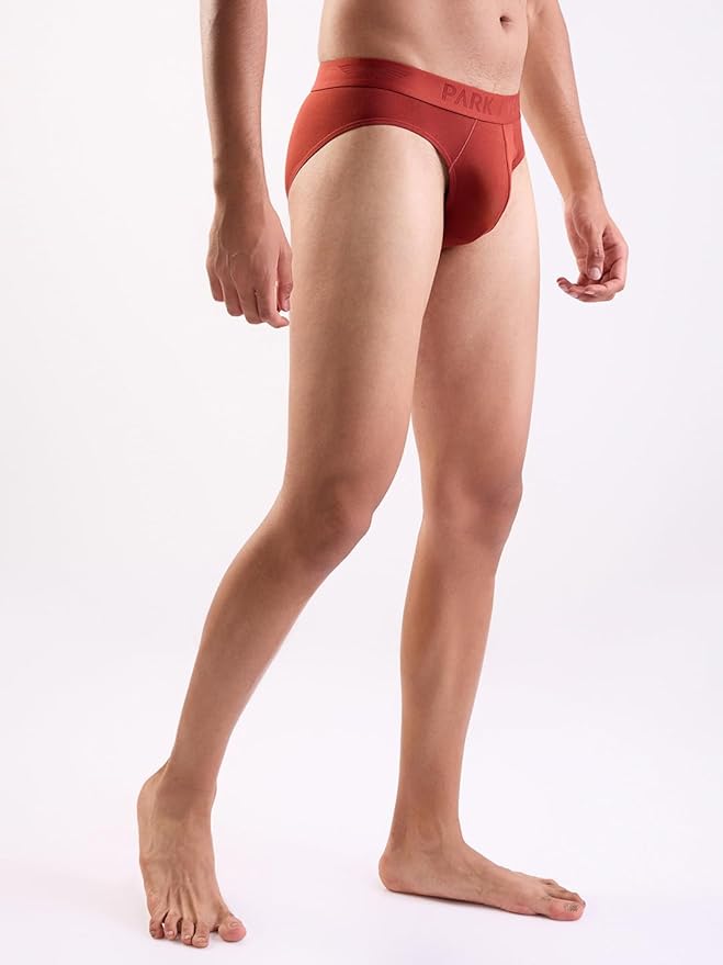 PARK AVENUE Men's Comfort Fit Briefs in Rust Red