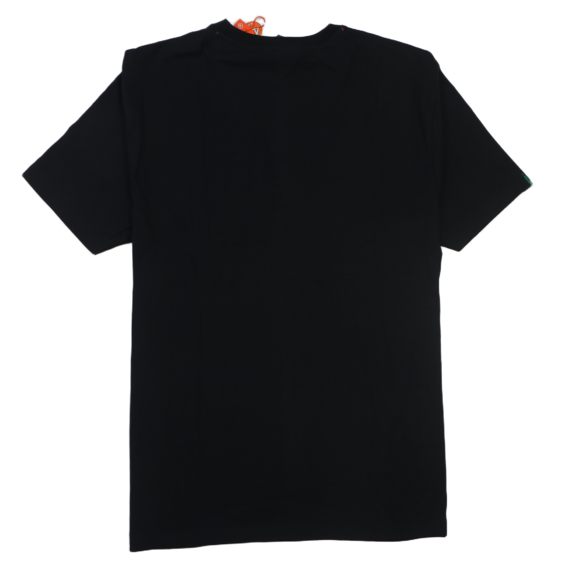 SUPERDRY Enchanted Emerald Relaxed Fit Short Sleeve Graphic Tee