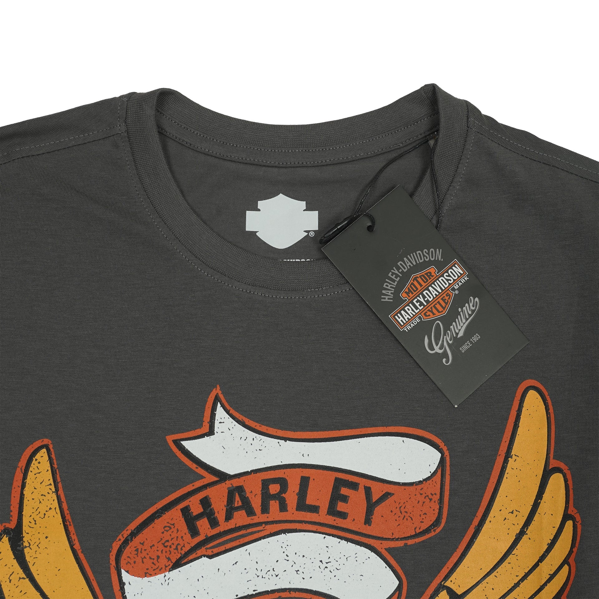 HARLEY DAVIDSON Ember Quartz Contemporary Fit Short Sleeve Graphic T-Shirt