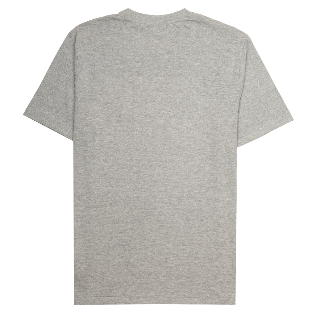 POLO RALPH LAUREN Misty Ash Relaxed Fit Short Sleeve Graphic Tee