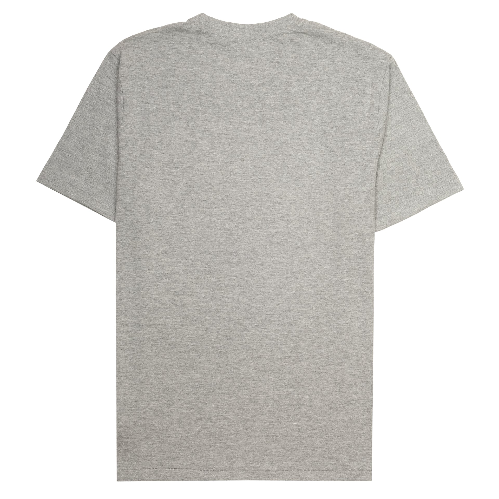 POLO RALPH LAUREN Misty Ash Relaxed Fit Short Sleeve Graphic Tee