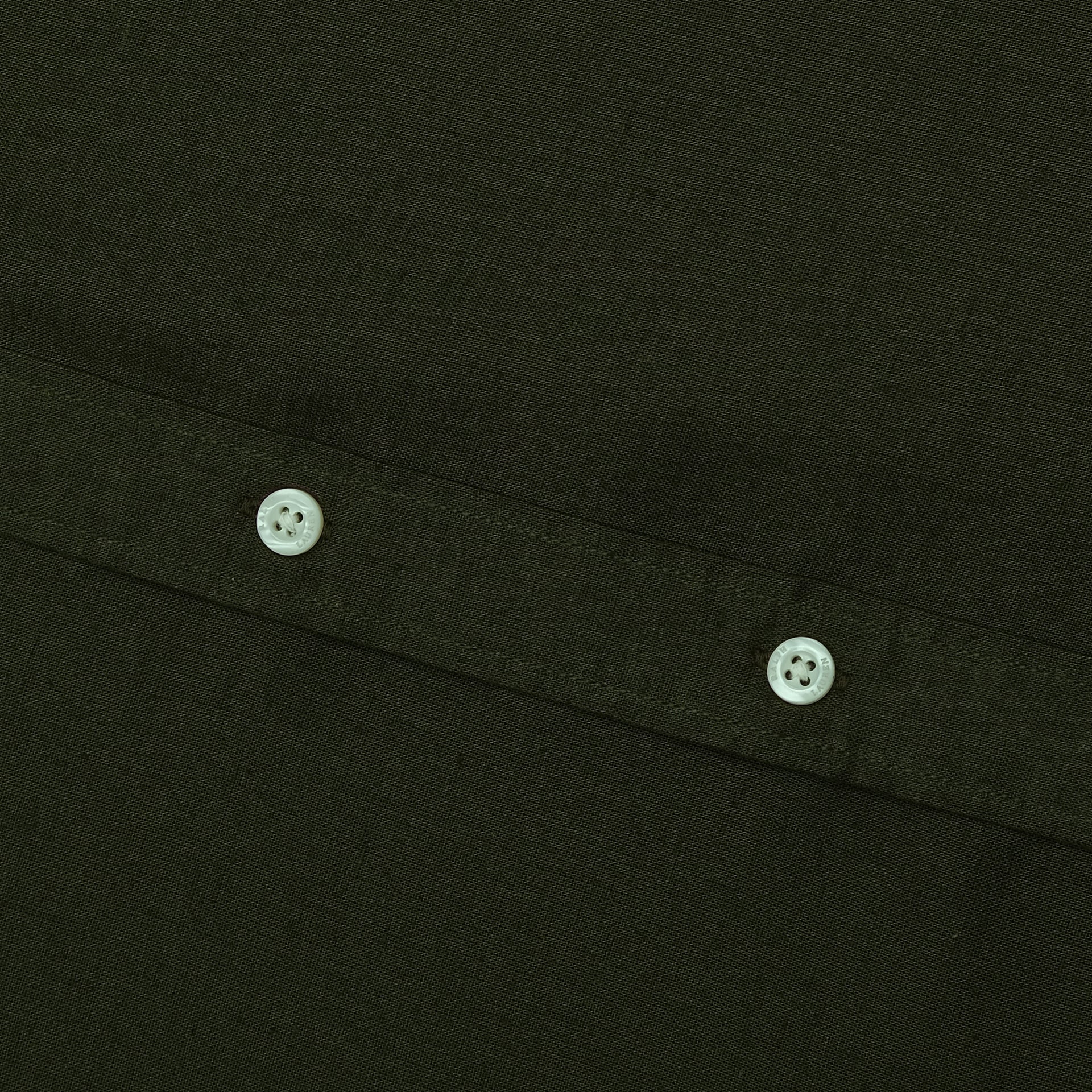 POLO RALPH LAUREN Enchanted Forest Classic Fit Long Sleeve Button-Up Shirt