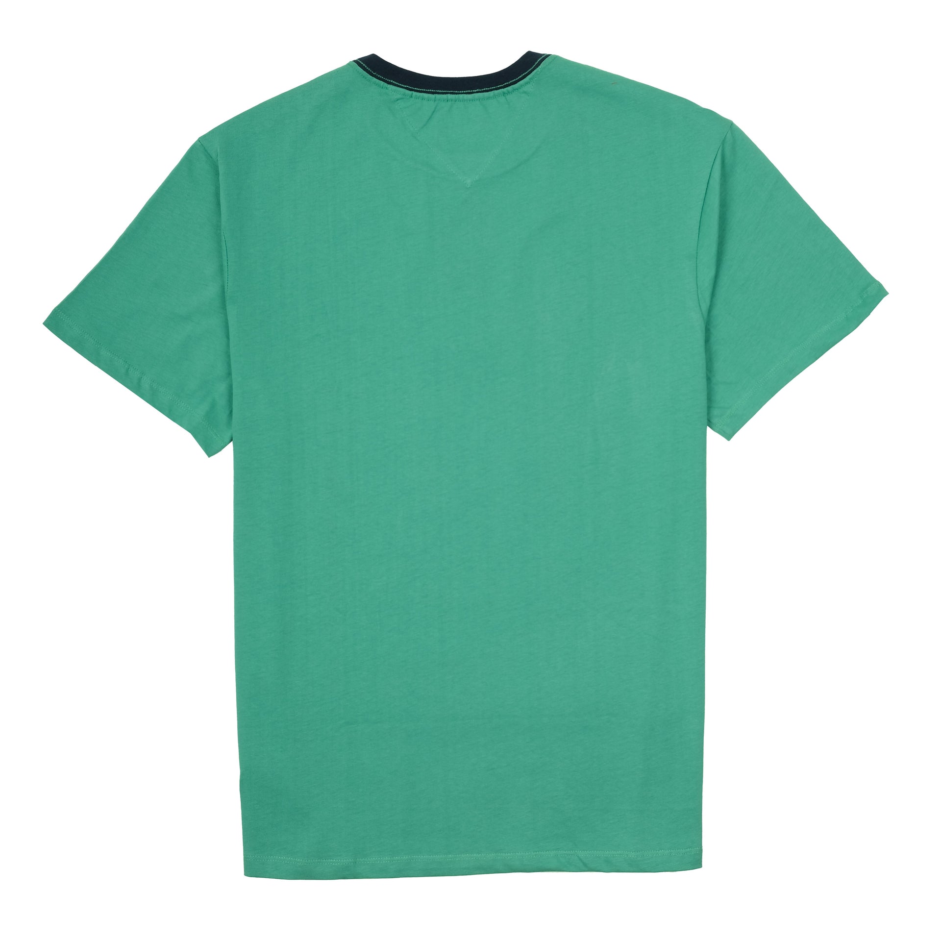 TOMMY HILFIGER Emerald Wave Classic Fit Graphic Crewneck Tee