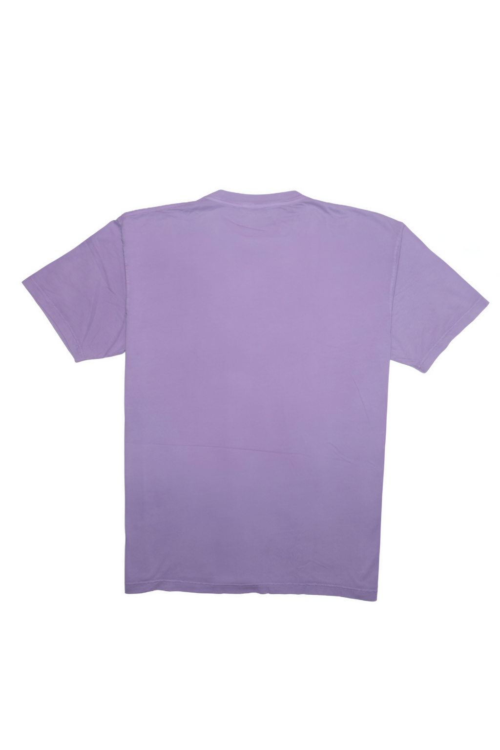 Calvin Klein Classic Logo Purple T-Shirt