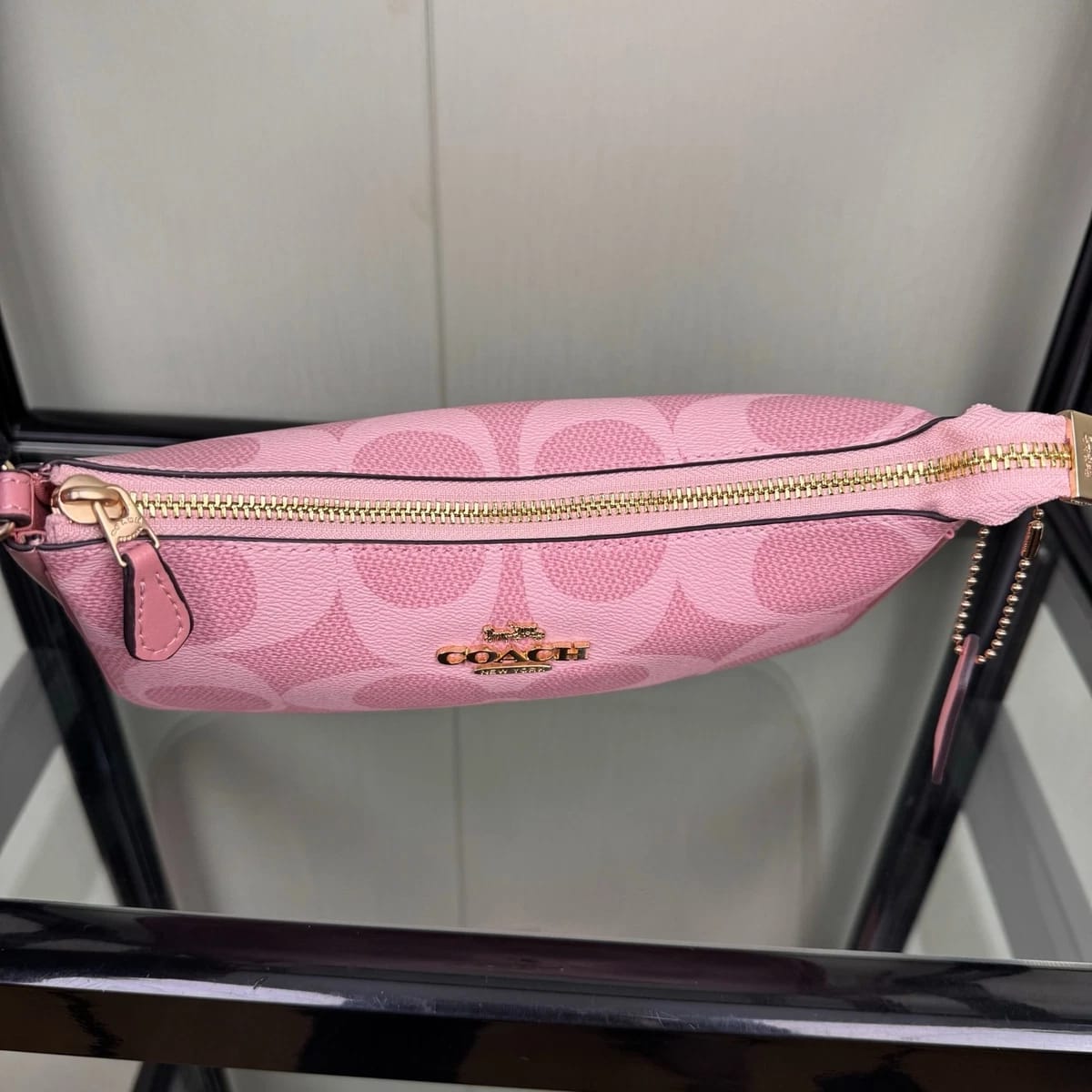 COACH Signature Pink Mini Hobo Bag