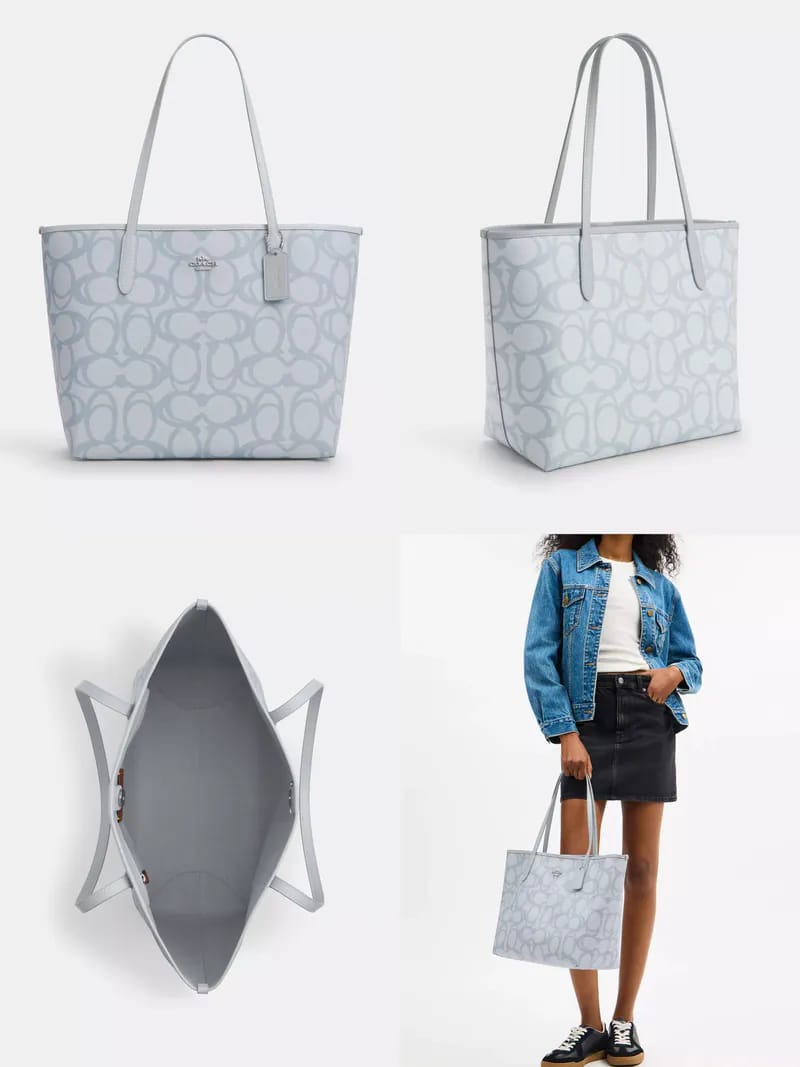 Coach Signature Canvas Tote Bag in Light Blue (IMPORTED)